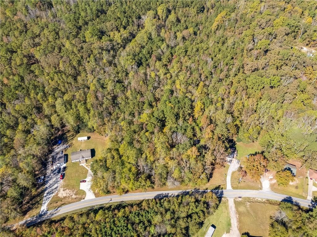 unimproved land for sale at 0000 Hog Liver Road, Carrollton, GA 30117 — photo 10
