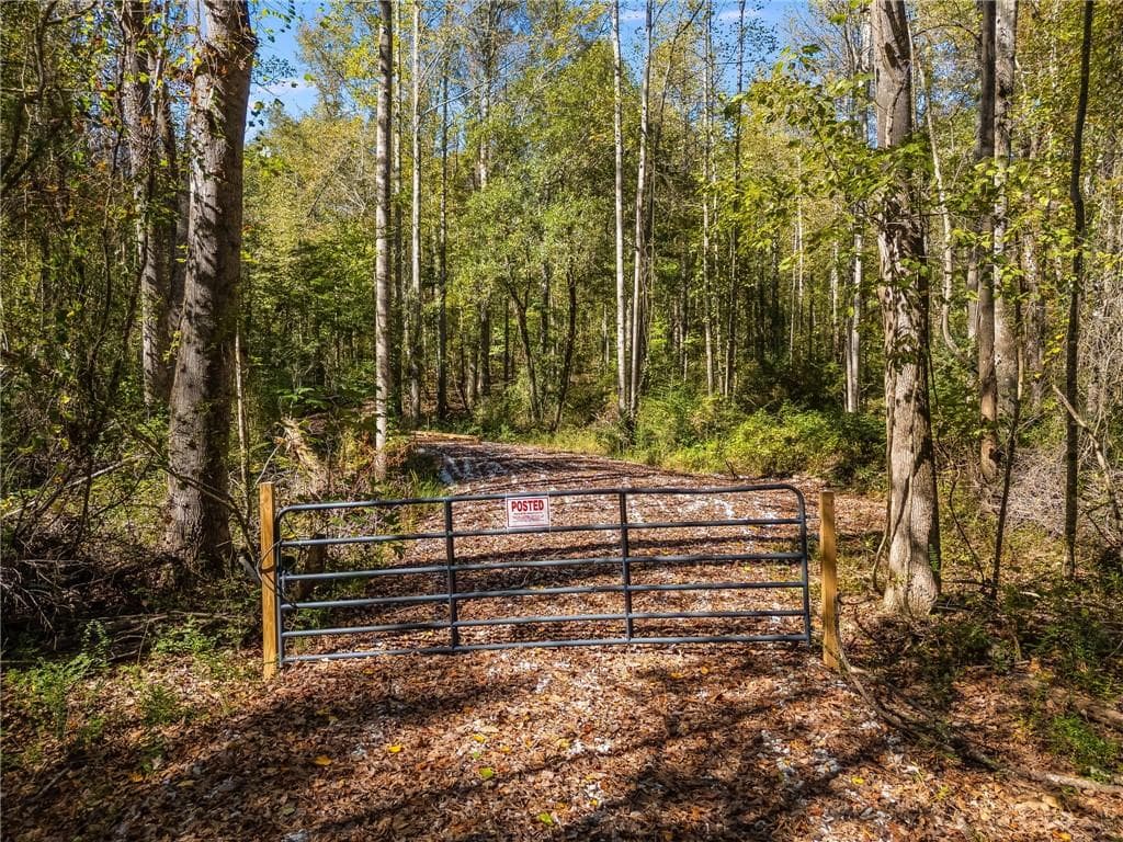 unimproved land for sale at 0000 Hog Liver Road, Carrollton, GA 30117 — photo 2