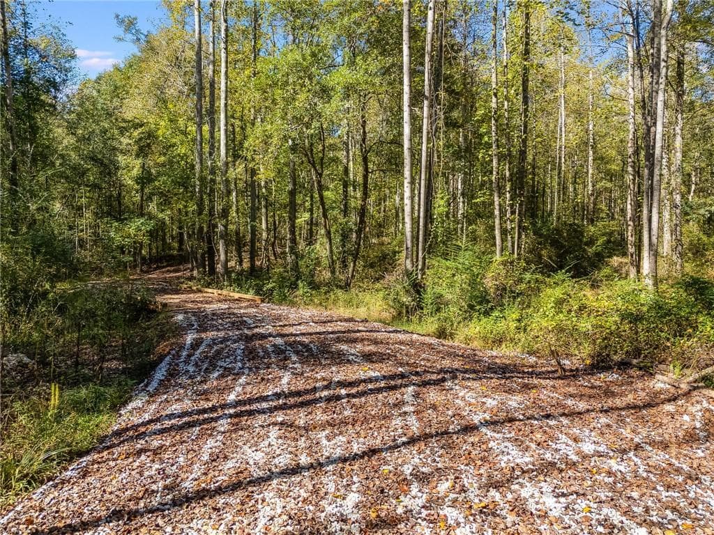 unimproved land for sale at 0000 Hog Liver Road, Carrollton, GA 30117 — photo 3