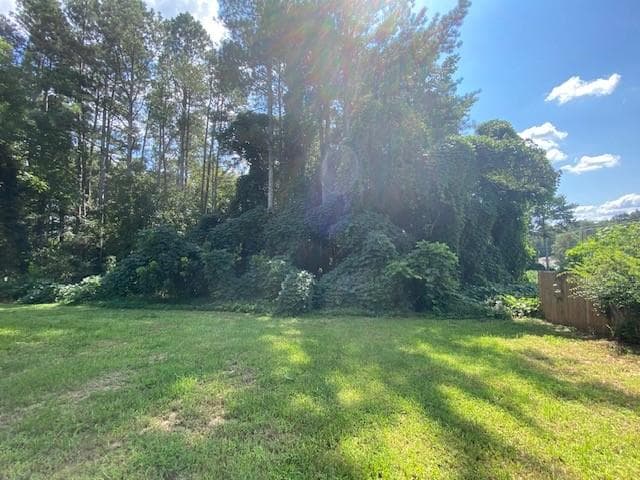 3 bedroom, 1 bathroom, 1,066 sq ft single family residence for sale at 165 Blackwell Street, Ball Ground, GA 30107 — photo 3