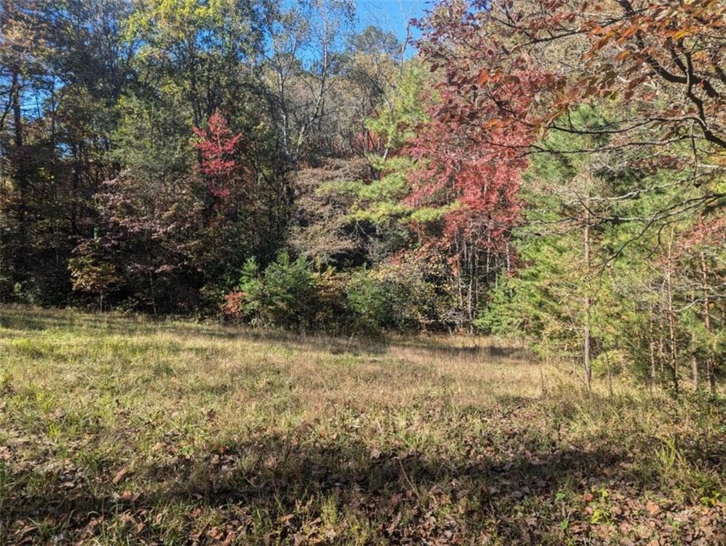 other for sale at 26.89 Shadow Lane, Blue Ridge, GA 30513 — photo 3