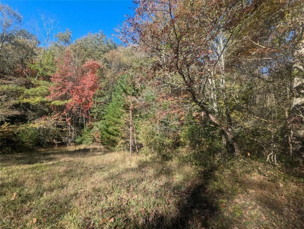 other for sale at 26.89 Shadow Lane, Blue Ridge, GA 30513 — photo 4