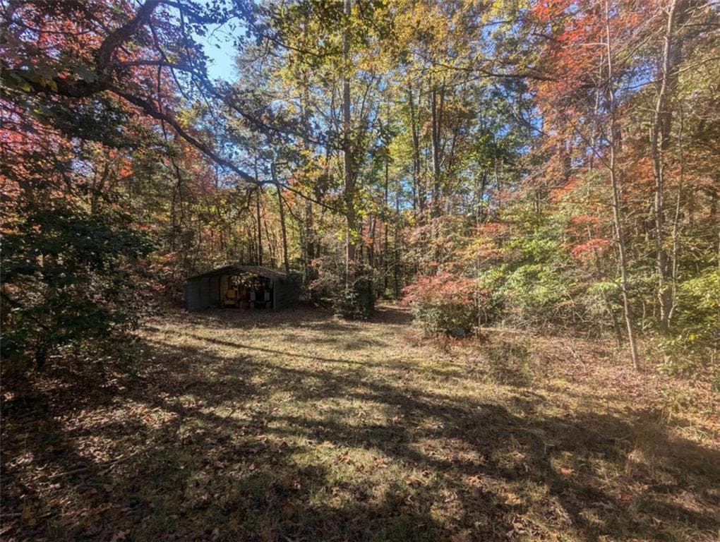 other for sale at 26.89 Shadow Lane, Blue Ridge, GA 30513 — photo 5