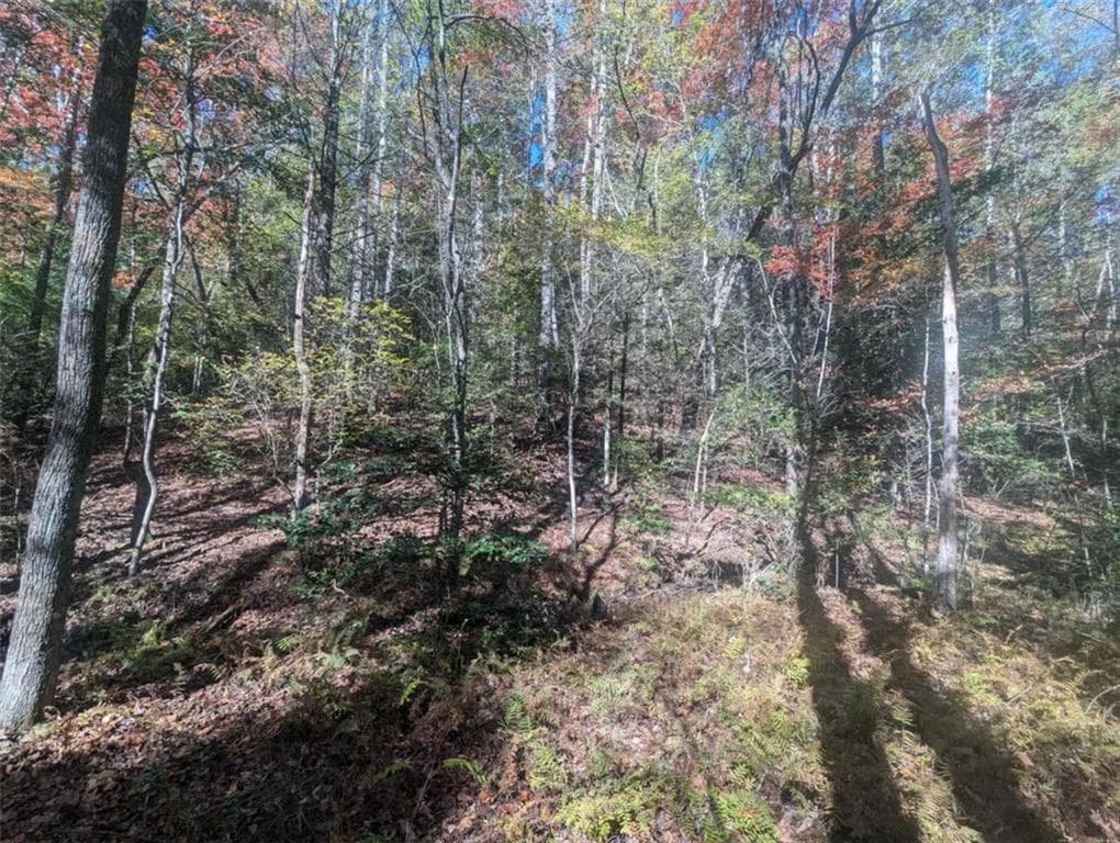 other for sale at 26.89 Shadow Lane, Blue Ridge, GA 30513 — photo 9
