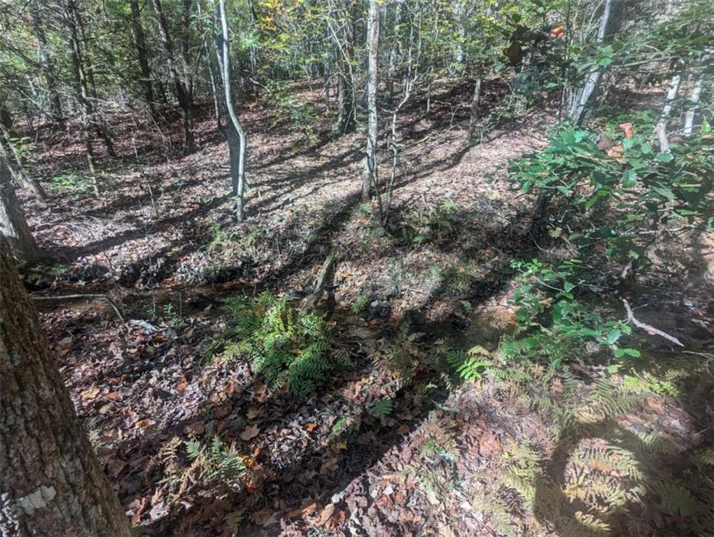 other for sale at 26.89 Shadow Lane, Blue Ridge, GA 30513 — photo 10