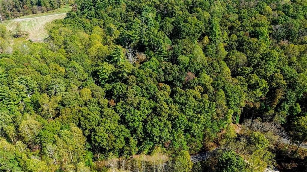 other for sale at 3468 Fir Lane, Ellijay, GA 30540 — photo 2