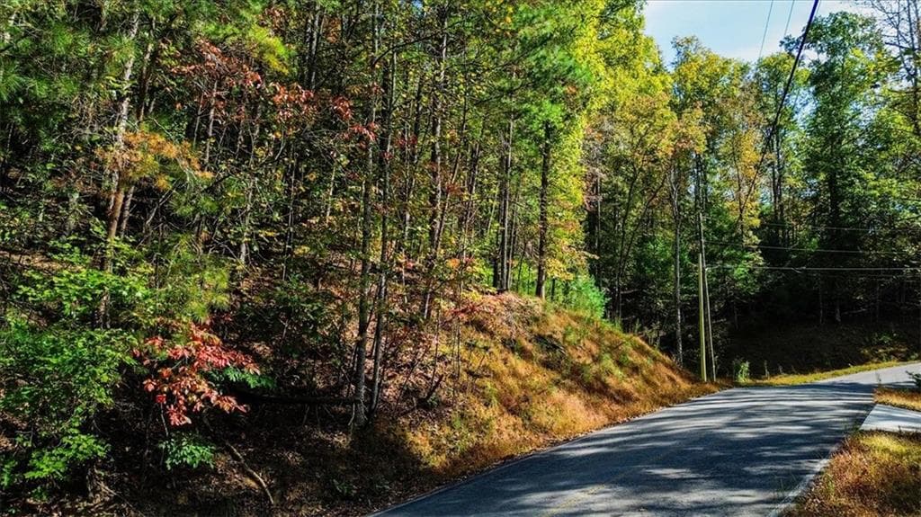 other for sale at 3468 Fir Lane, Ellijay, GA 30540 — photo 3