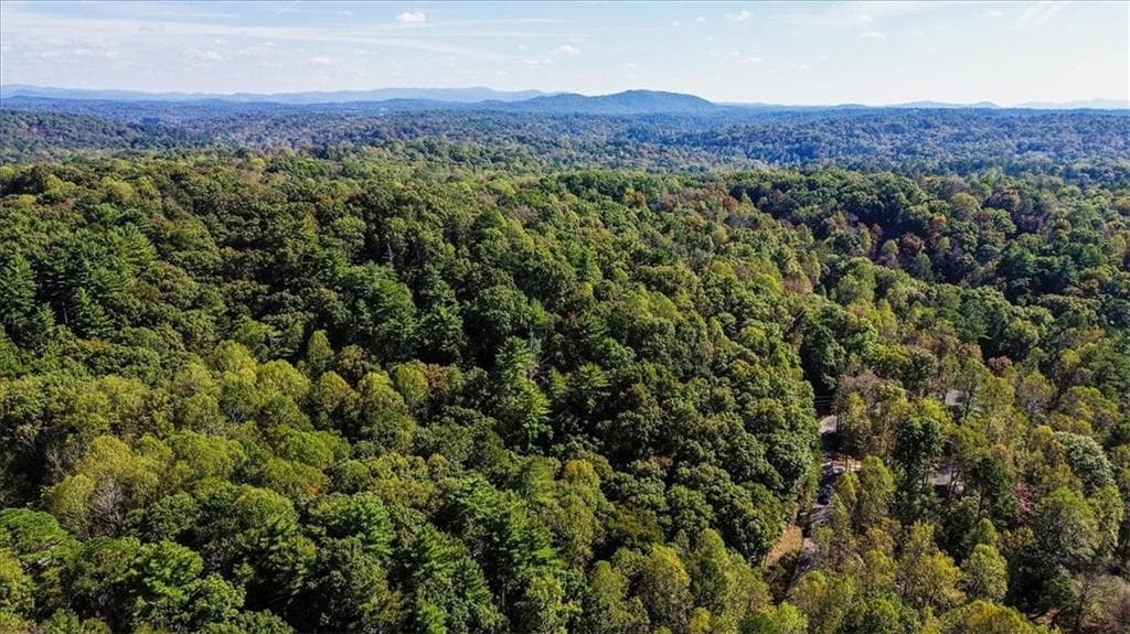 other for sale at 3468 Fir Lane, Ellijay, GA 30540 — photo 4