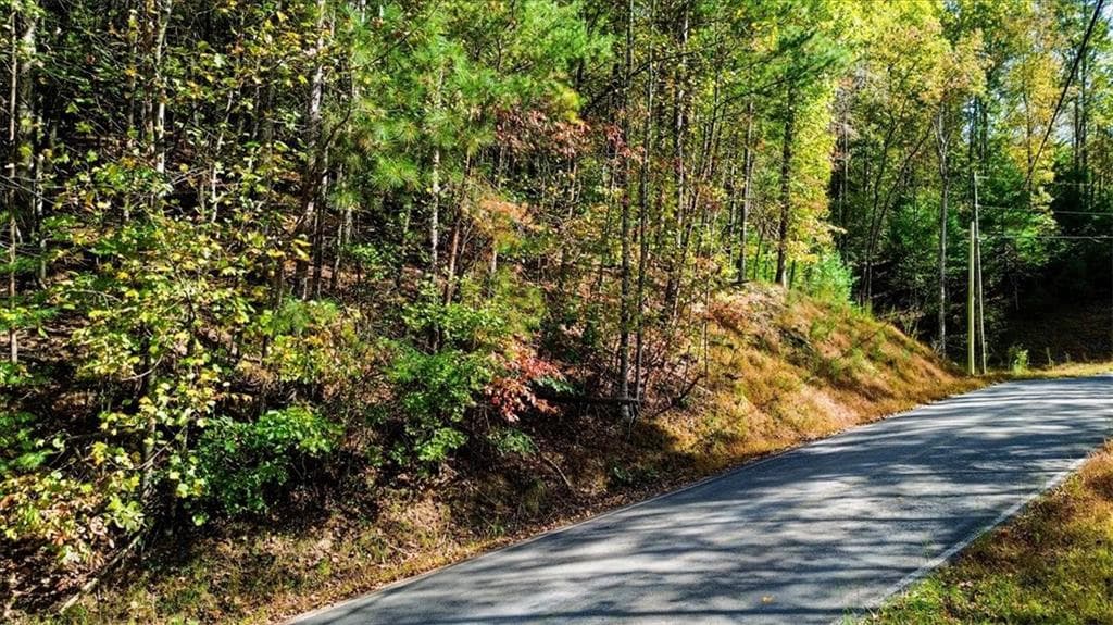 other for sale at 3468 Fir Lane, Ellijay, GA 30540 — photo 5