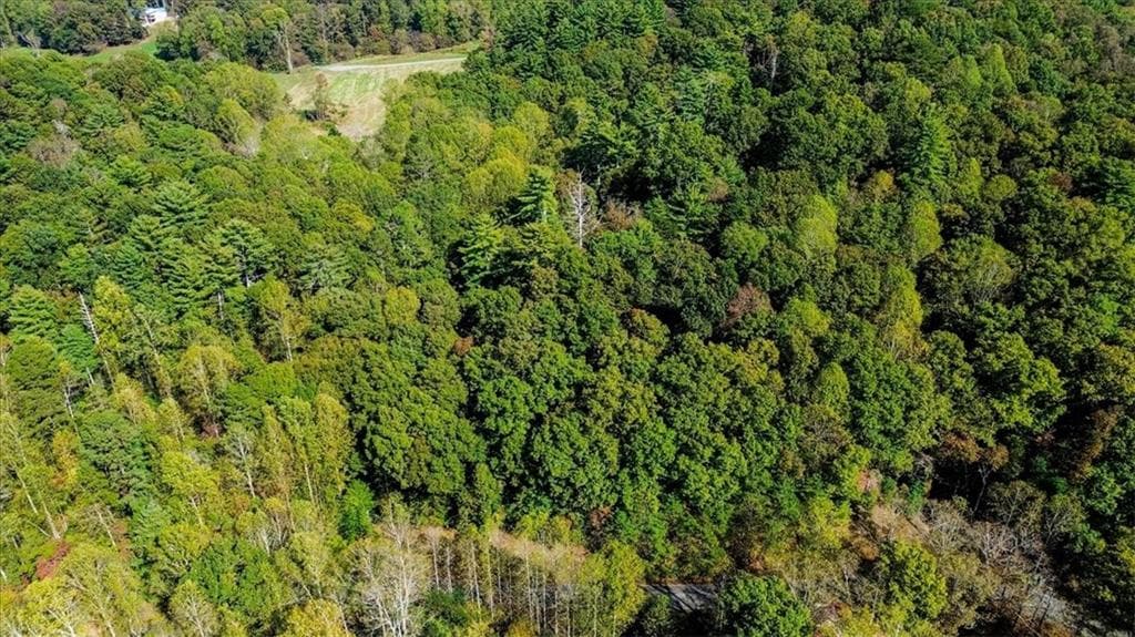 other for sale at 3468 Fir Lane, Ellijay, GA 30540 — photo 7
