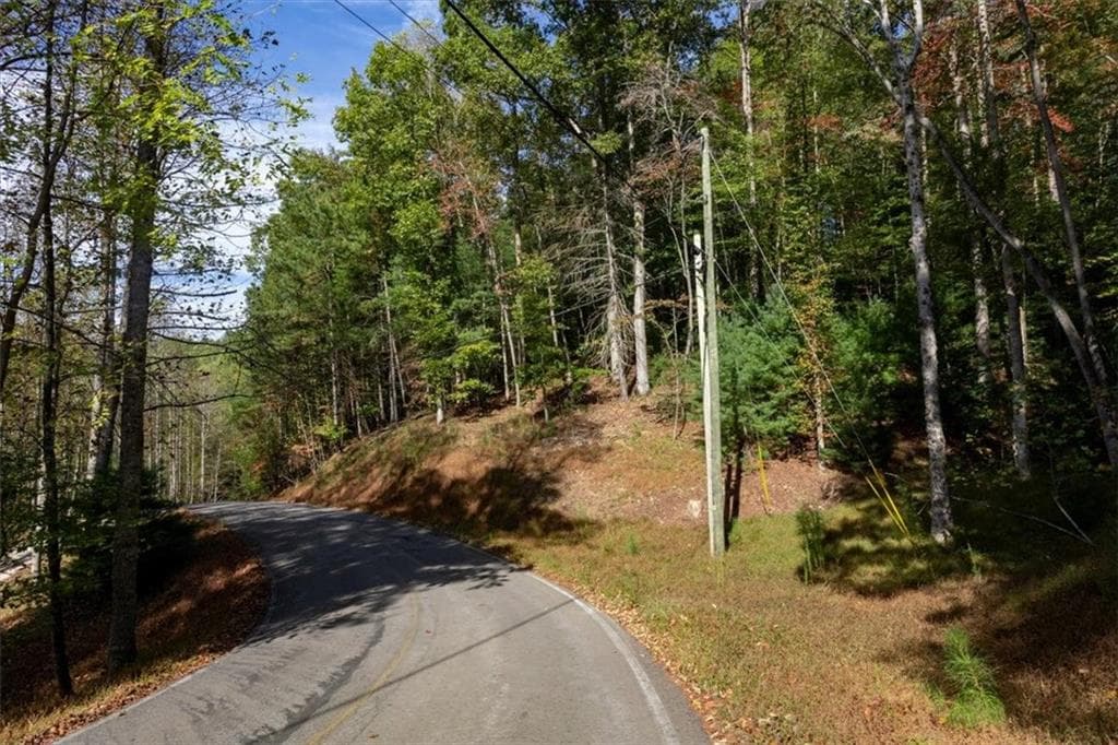 other for sale at 3468 Fir Lane, Ellijay, GA 30540 — photo 9