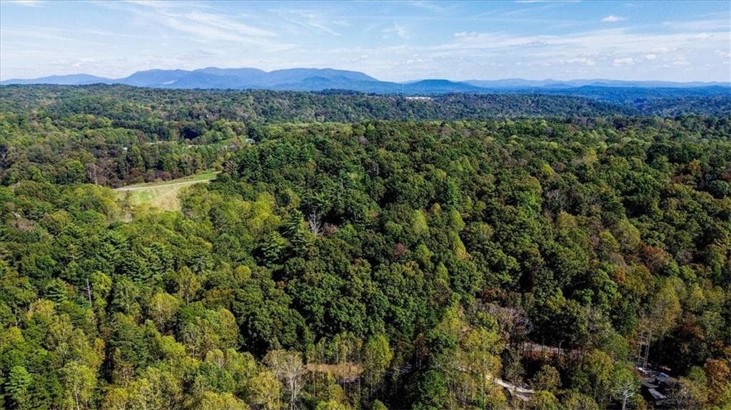 other for sale at 3468 Fir Lane, Ellijay, GA 30540 — photo 10