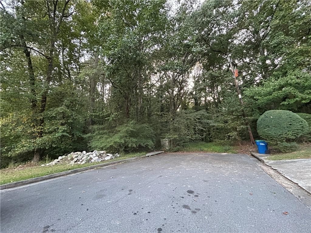 unimproved land for sale at 3740 Las Olas Drive, Atlanta, GA 30349 — photo 4