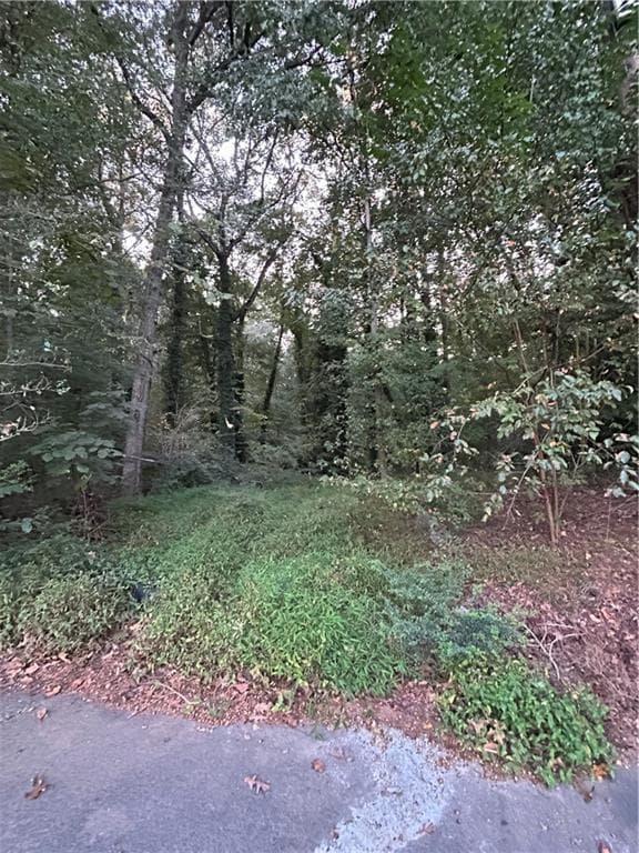 unimproved land for sale at 3740 Las Olas Drive, Atlanta, GA 30349 — photo 5