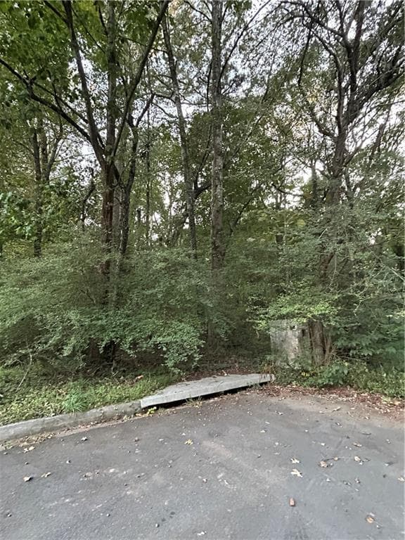 unimproved land for sale at 3740 Las Olas Drive, Atlanta, GA 30349 — photo 6