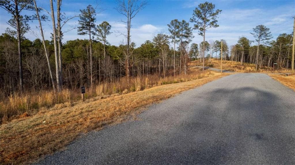 single family residence for sale at LT 177 Shallow Water Way, Talking Rock, GA 30175 — photo 3