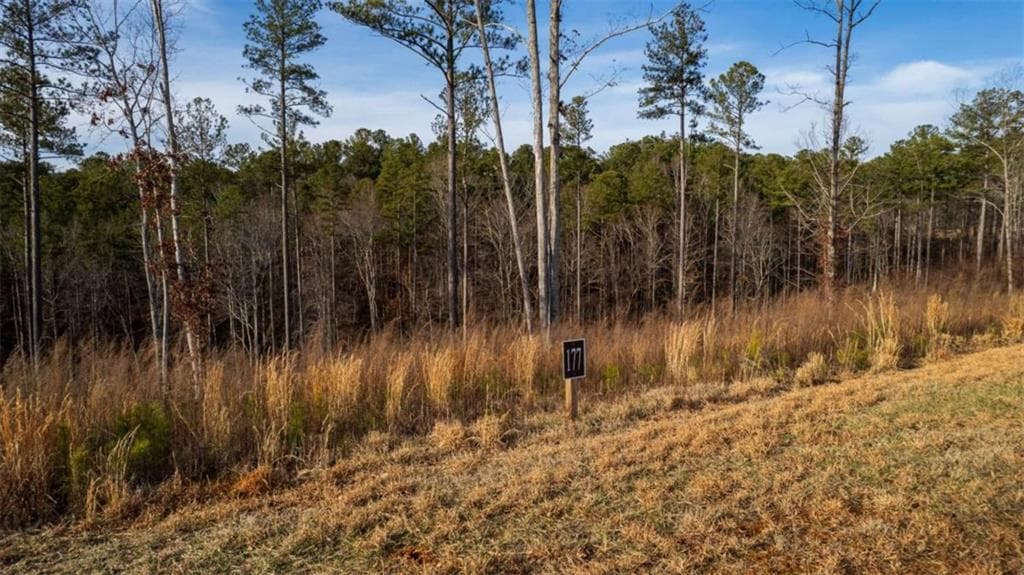 single family residence for sale at LT 177 Shallow Water Way, Talking Rock, GA 30175 — photo 4