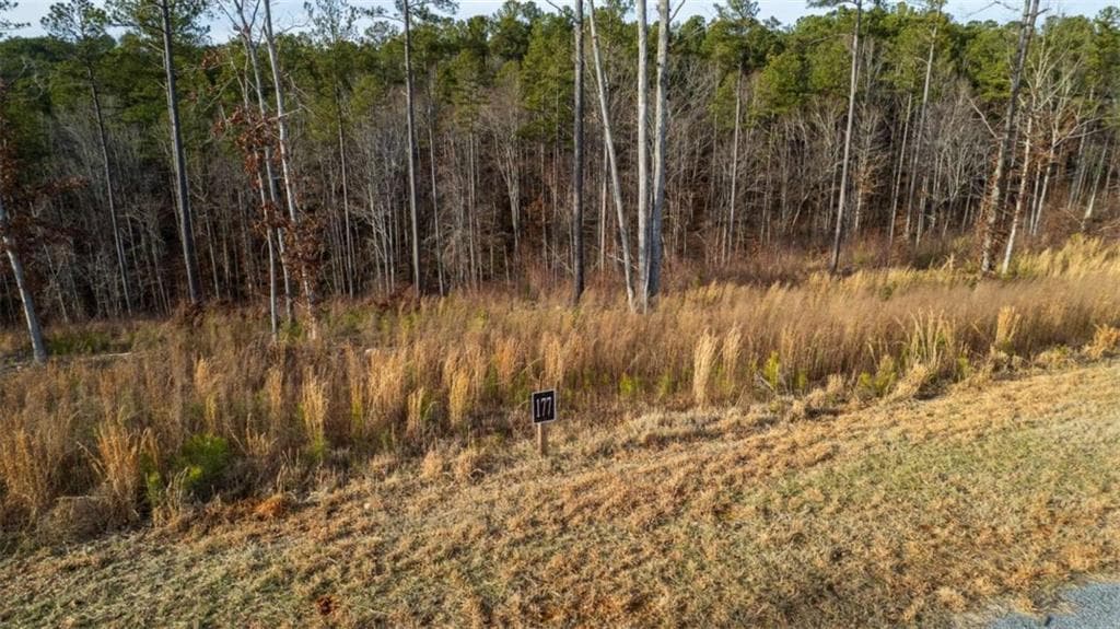 single family residence for sale at LT 177 Shallow Water Way, Talking Rock, GA 30175 — photo 5