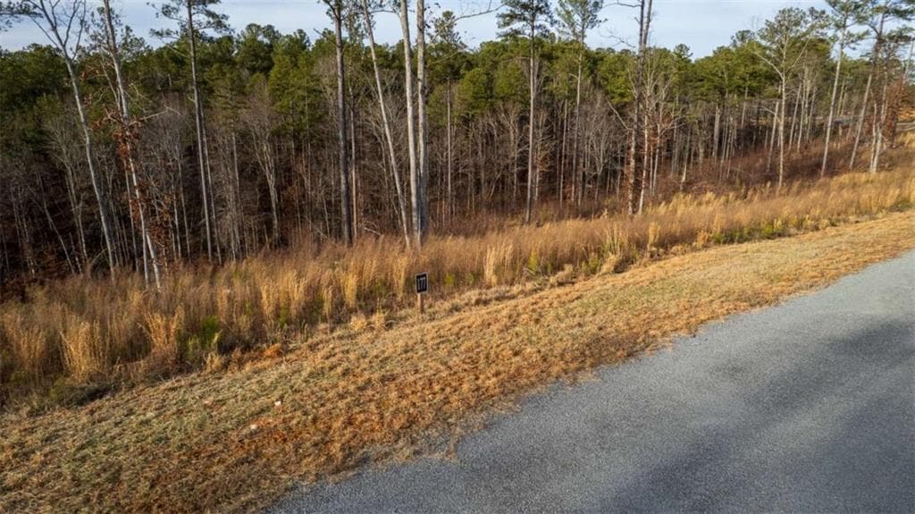 single family residence for sale at LT 177 Shallow Water Way, Talking Rock, GA 30175 — photo 6