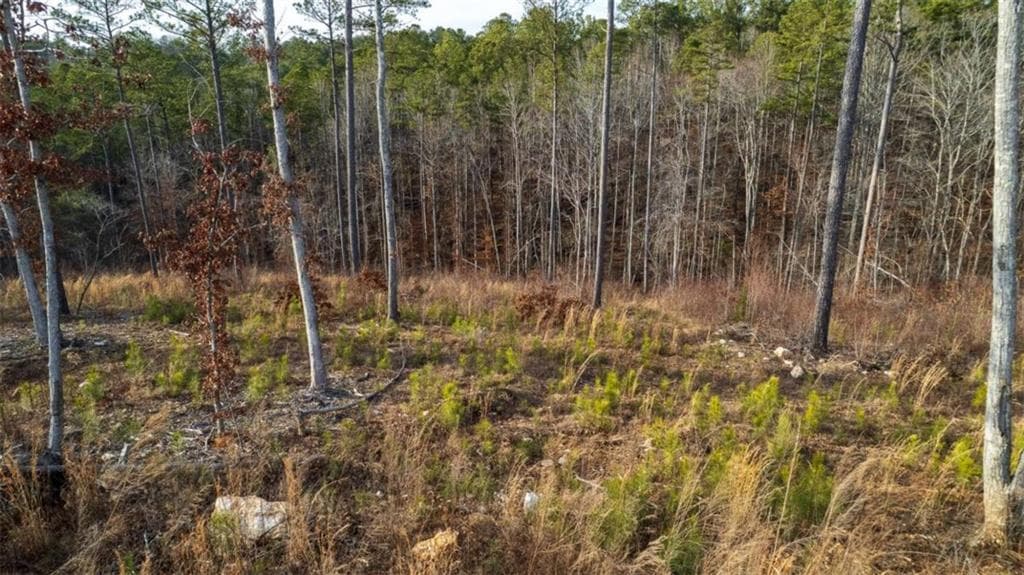 single family residence for sale at LT 177 Shallow Water Way, Talking Rock, GA 30175 — photo 8