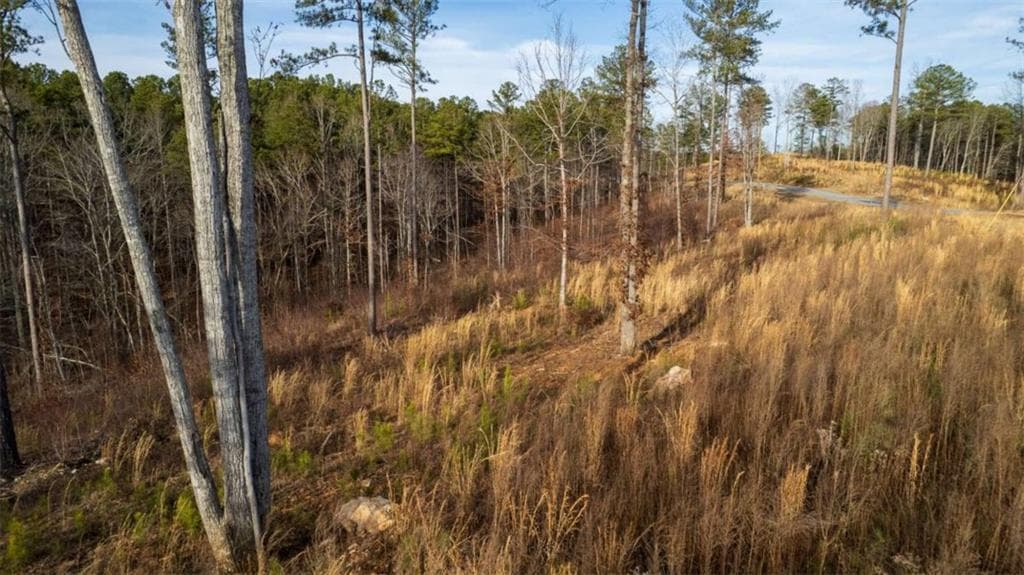 single family residence for sale at LT 177 Shallow Water Way, Talking Rock, GA 30175 — photo 9