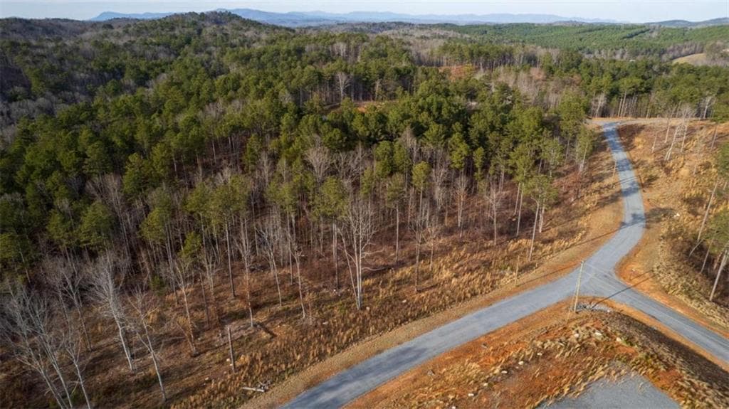 single family residence for sale at LT 177 Shallow Water Way, Talking Rock, GA 30175 — photo 10
