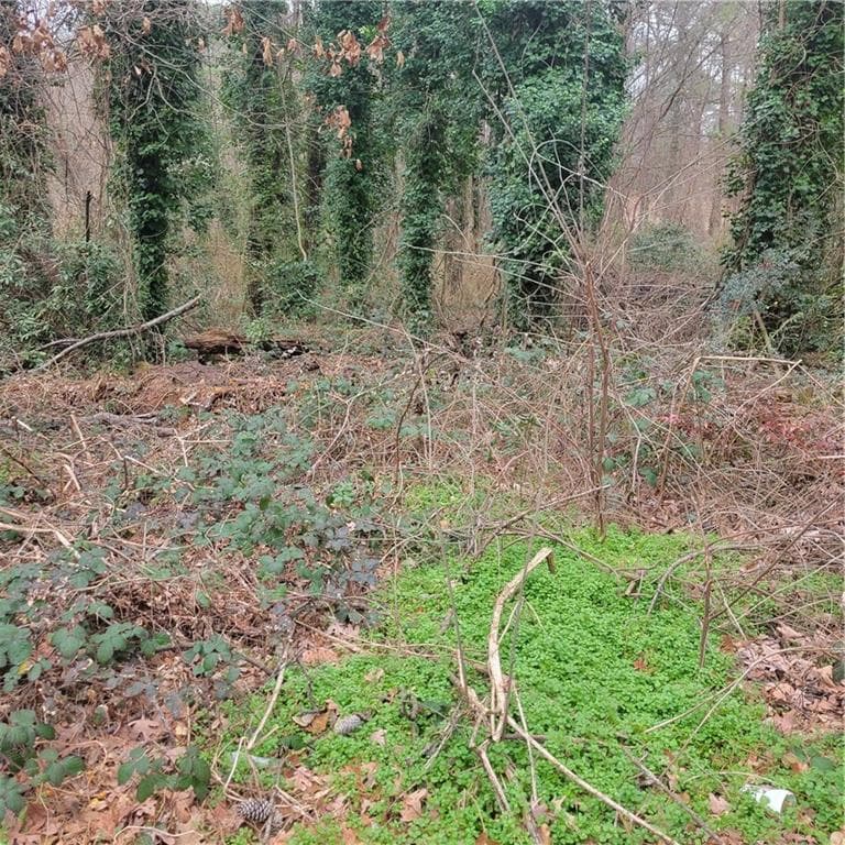 unimproved land for sale at 4682 Pine Circle, Ellenwood, GA 30294 — photo 5