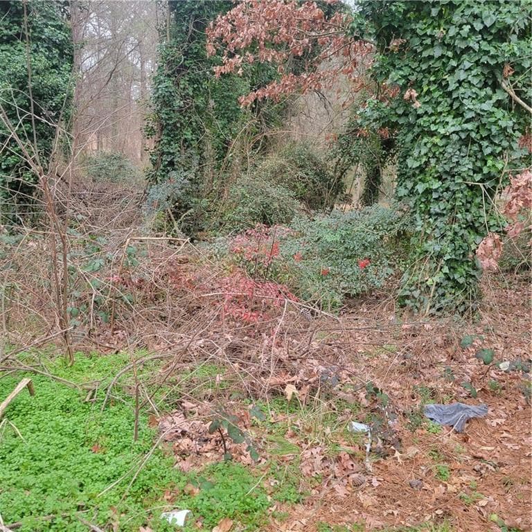 unimproved land for sale at 4682 Pine Circle, Ellenwood, GA 30294 — photo 1 of 6