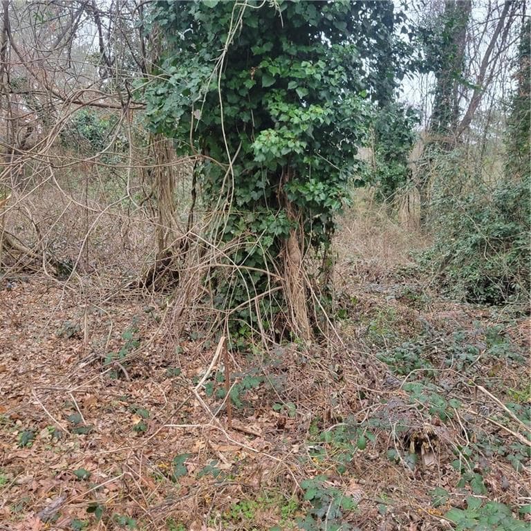 unimproved land for sale at 4682 Pine Circle, Ellenwood, GA 30294 — photo 6