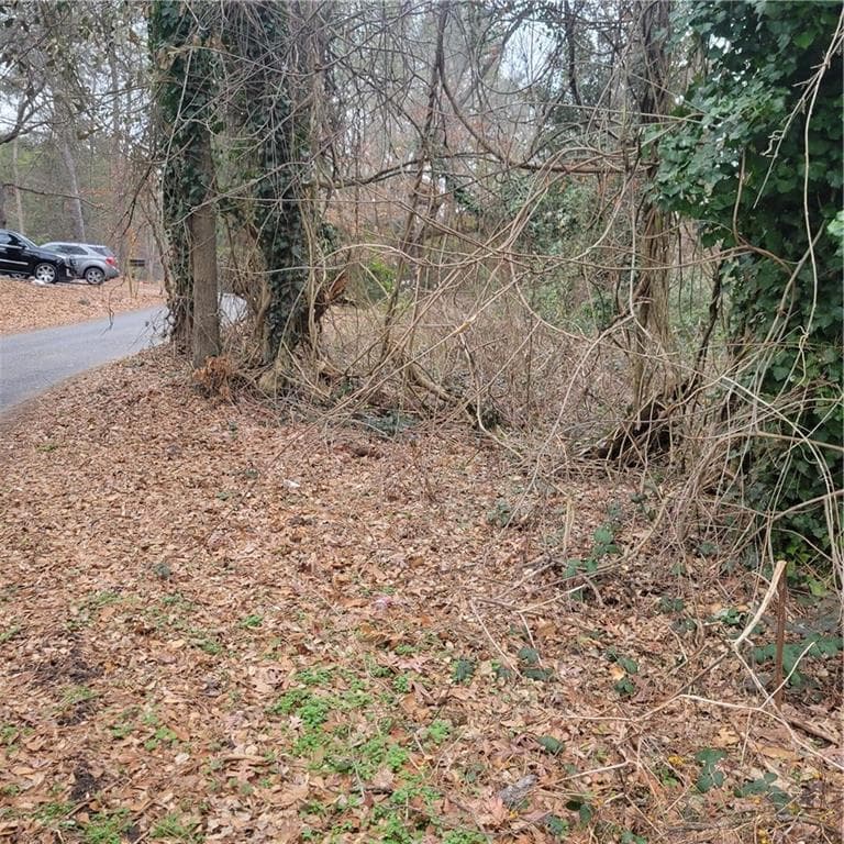 unimproved land for sale at 4682 Pine Circle, Ellenwood, GA 30294 — photo 3
