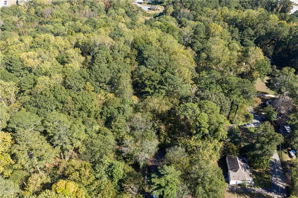 other for sale at 0 E Foster Avenue, Dallas, GA 30132 — photo 4