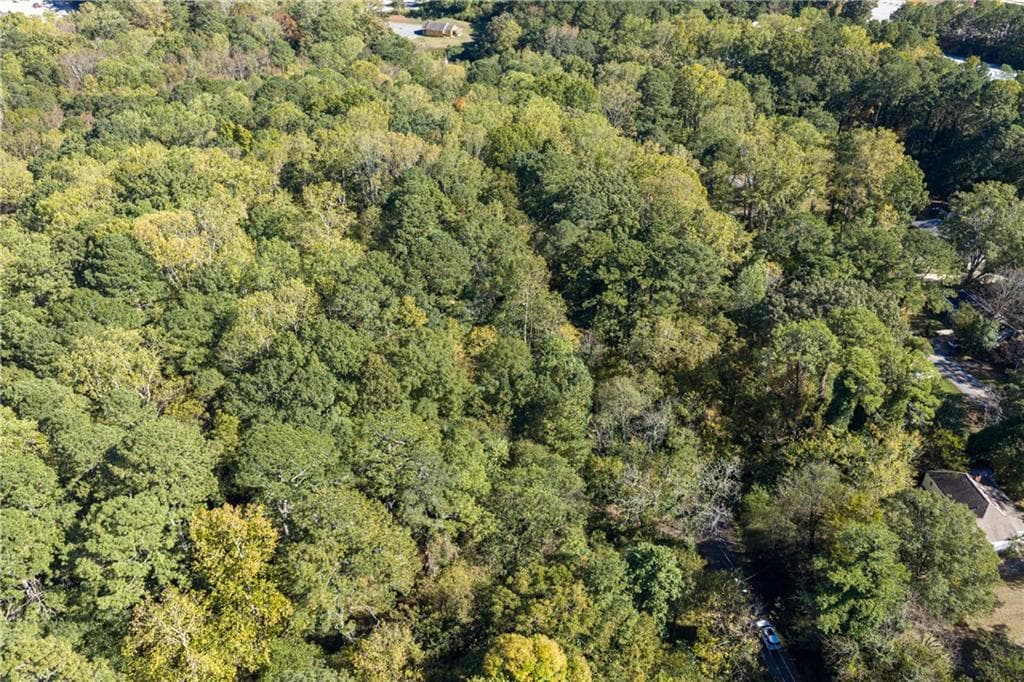 other for sale at 0 E Foster Avenue, Dallas, GA 30132 — photo 7