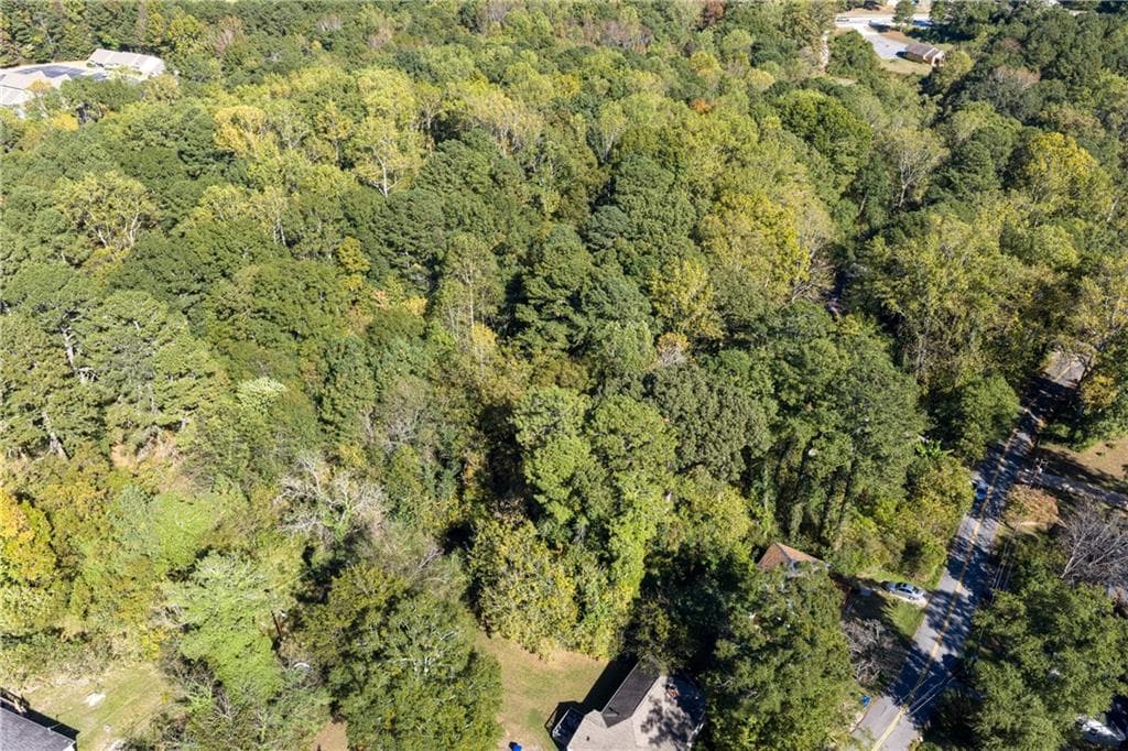 other for sale at 0 E Foster Avenue, Dallas, GA 30132 — photo 9