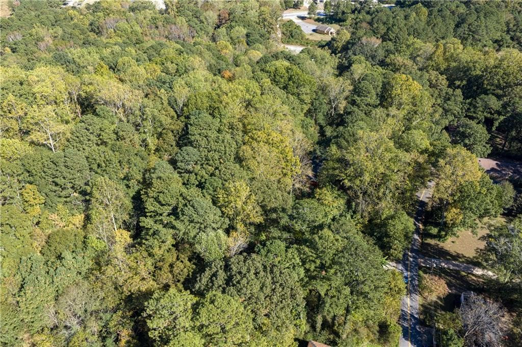 other for sale at 0 E Foster Avenue, Dallas, GA 30132 — photo 10