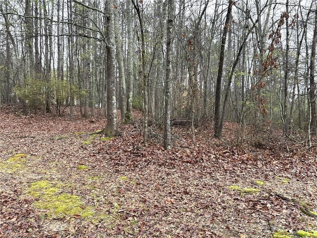 unimproved land for sale at 2930 Hwy 113, Carrollton, GA 30179 — photo 7