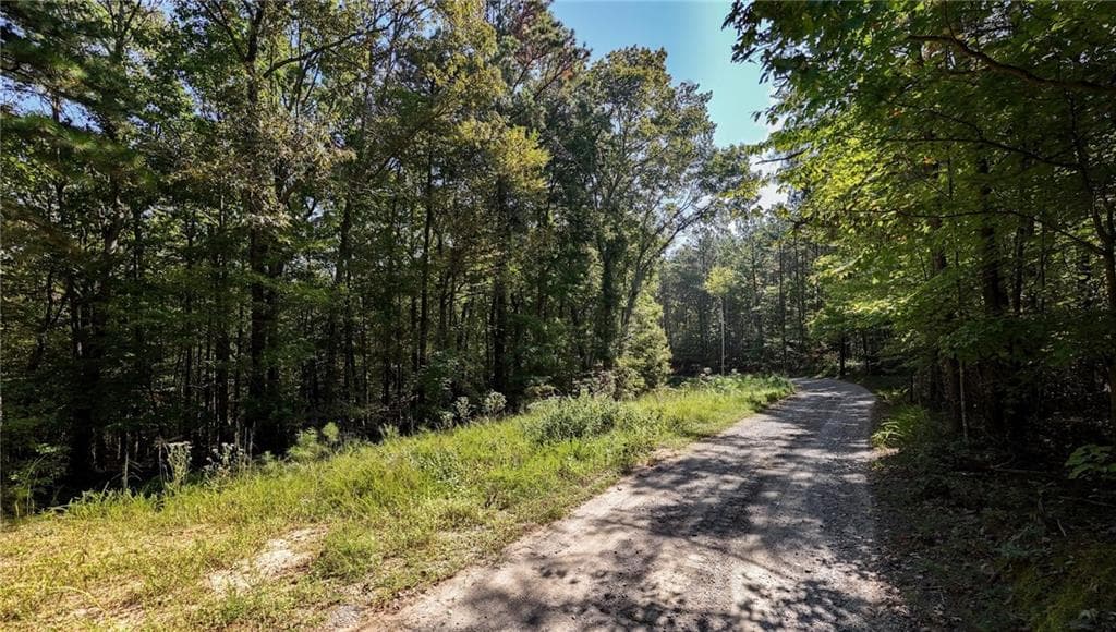 other for sale at 925 Arrow Trail, Waleska, GA 30183 — photo 2
