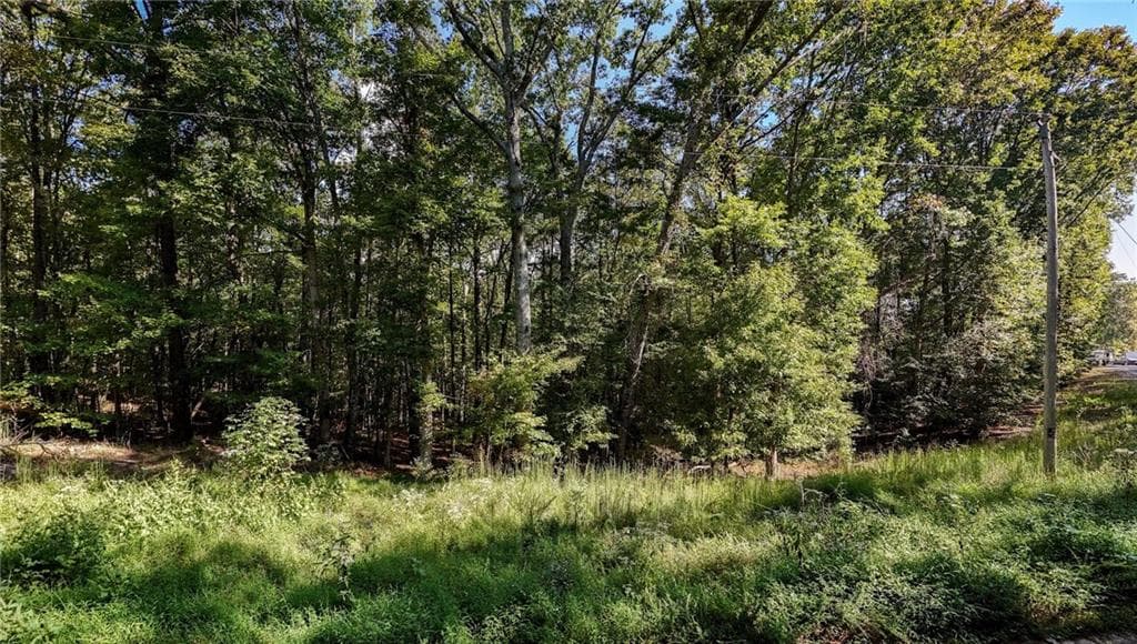 other for sale at 925 Arrow Trail, Waleska, GA 30183 — photo 3