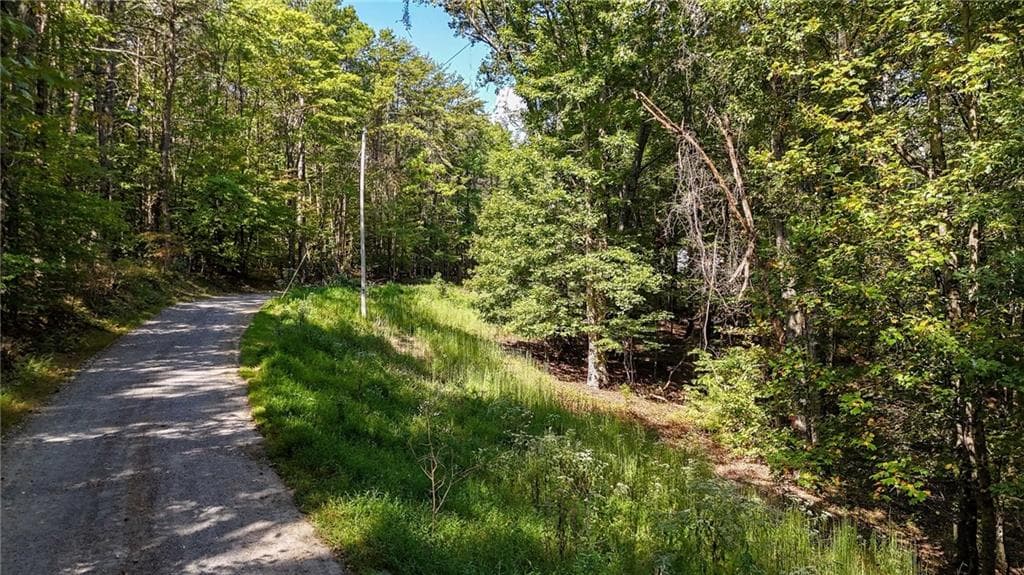 other for sale at 925 Arrow Trail, Waleska, GA 30183 — photo 4
