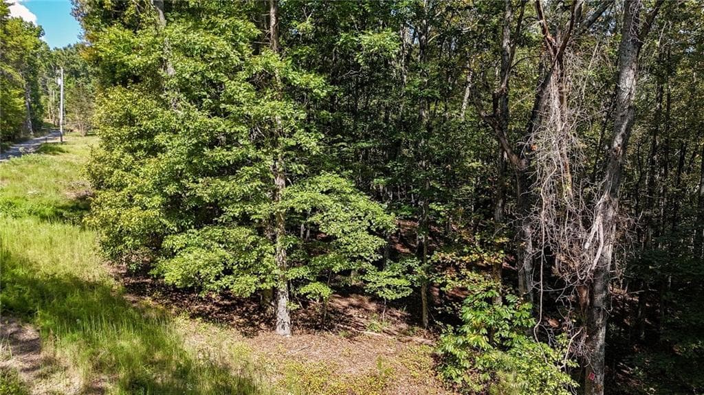 other for sale at 925 Arrow Trail, Waleska, GA 30183 — photo 5