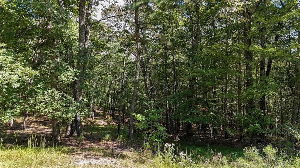 other for sale at 925 Arrow Trail, Waleska, GA 30183 — photo 6