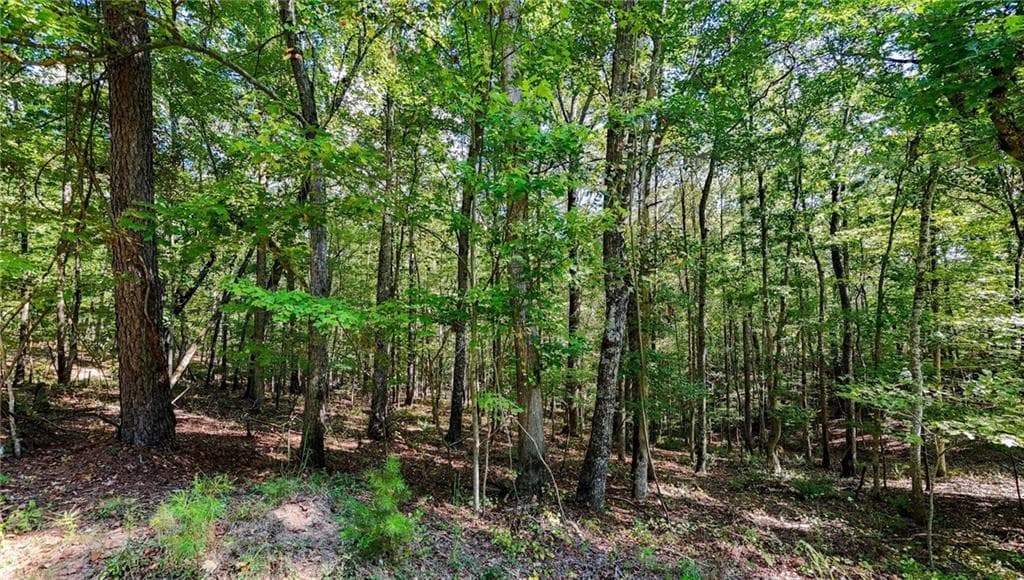 other for sale at 925 Arrow Trail, Waleska, GA 30183 — photo 7