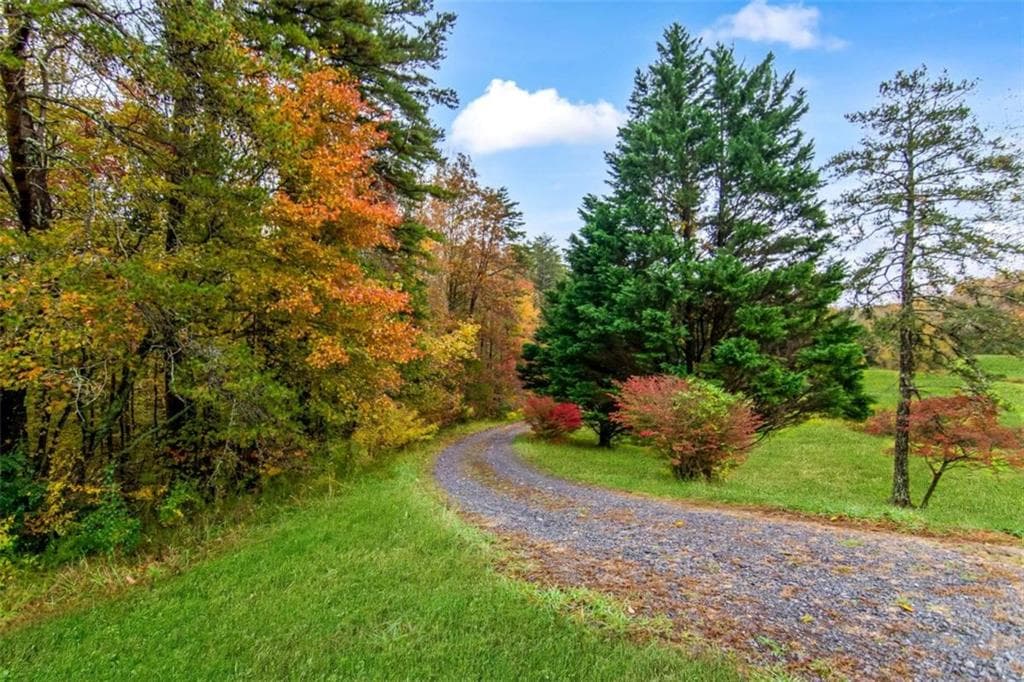 unimproved land for sale at 5618 Highway 52, Dawsonville, GA 30534 — photo 10