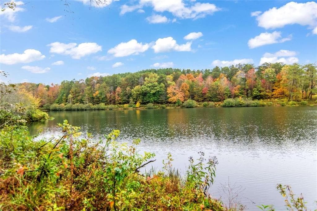 unimproved land for sale at 5618 Highway 52, Dawsonville, GA 30534 — photo 2
