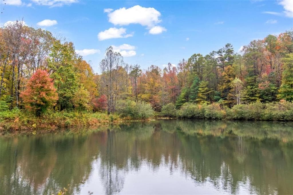 unimproved land for sale at 5618 Highway 52, Dawsonville, GA 30534 — photo 8