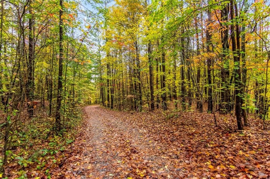 unimproved land for sale at 5618 Highway 52, Dawsonville, GA 30534 — photo 4
