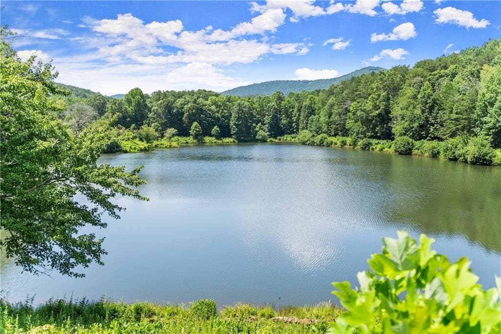 unimproved land for sale at 5618 Highway 52, Dawsonville, GA 30534 — photo 9