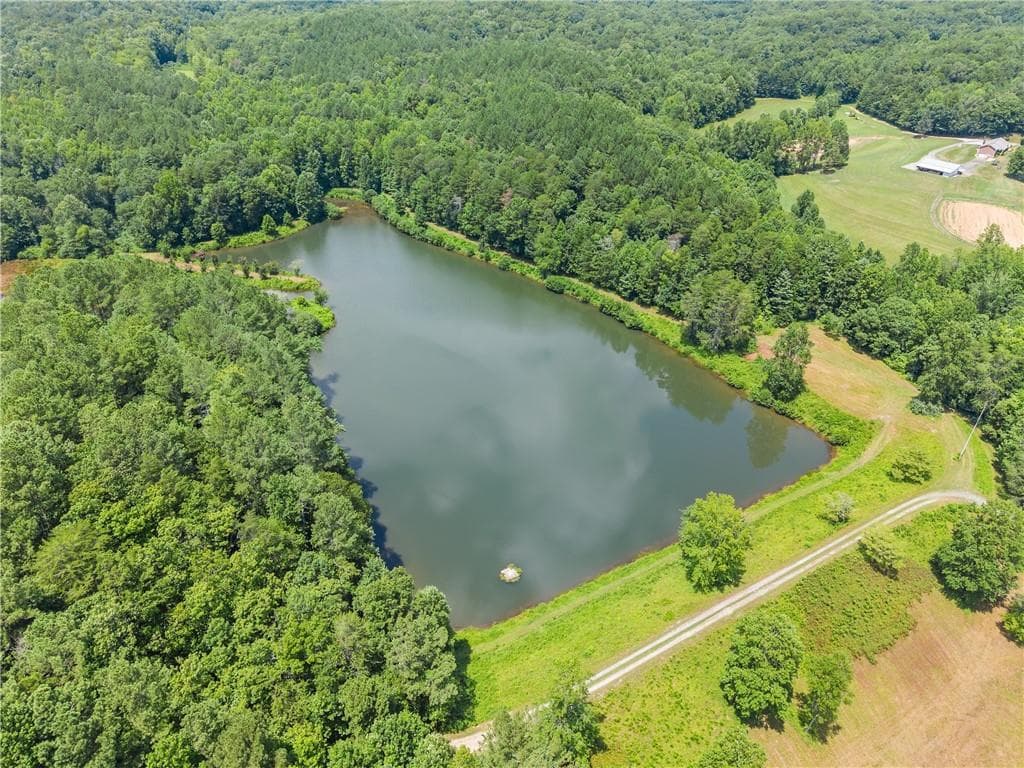 unimproved land for sale at 5618 Highway 52, Dawsonville, GA 30534 — photo 5