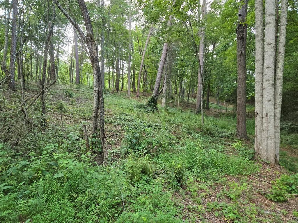 other sold at 384 Tippens Road, Canton, GA 30114