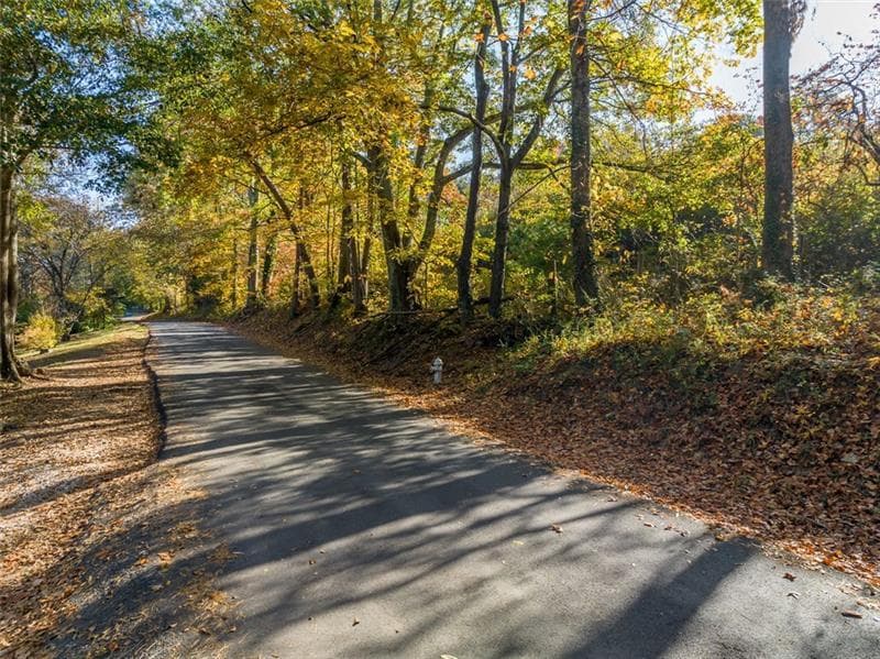 unimproved land for sale at 286 Lowry Street, Ball Ground, GA 30107 — photo 1 of 25