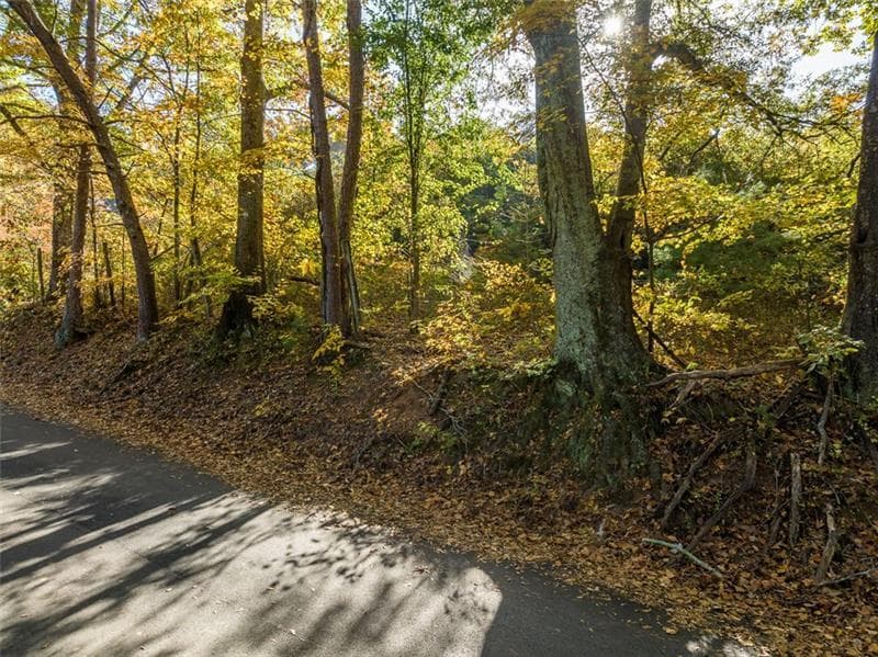 unimproved land for sale at 286 Lowry Street, Ball Ground, GA 30107 — photo 2